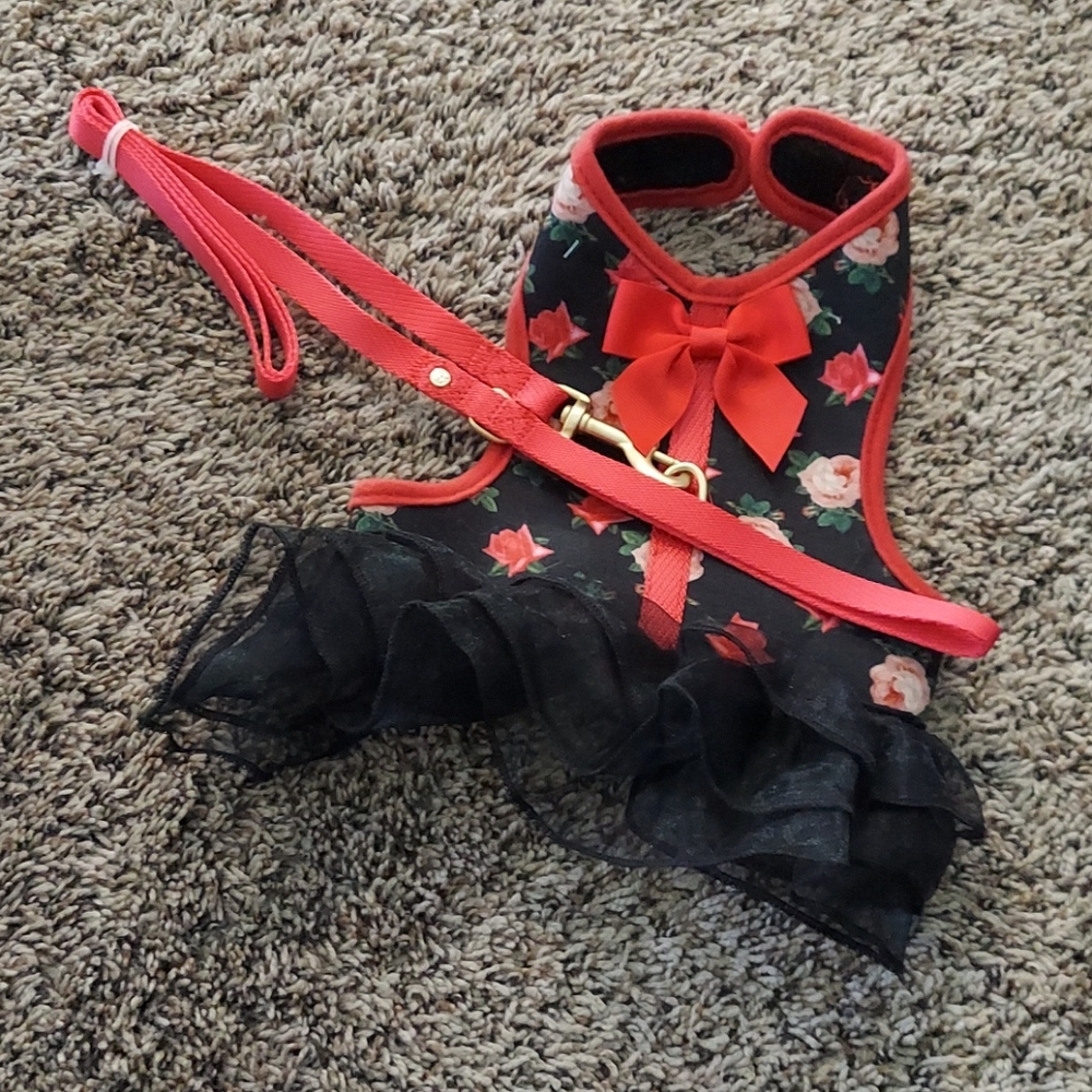 Cat or Small Dog Harness with Lead Included
